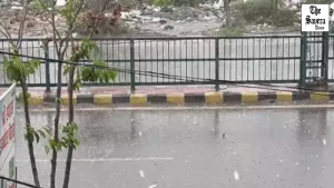 Haryana hailstorm with rain, weather worsens in 7 districts