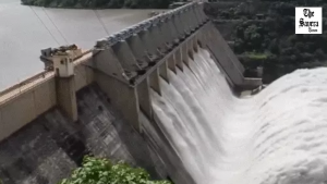 BSL Water Supply Stops in Haryana, Govt Seeks BBMB Reply