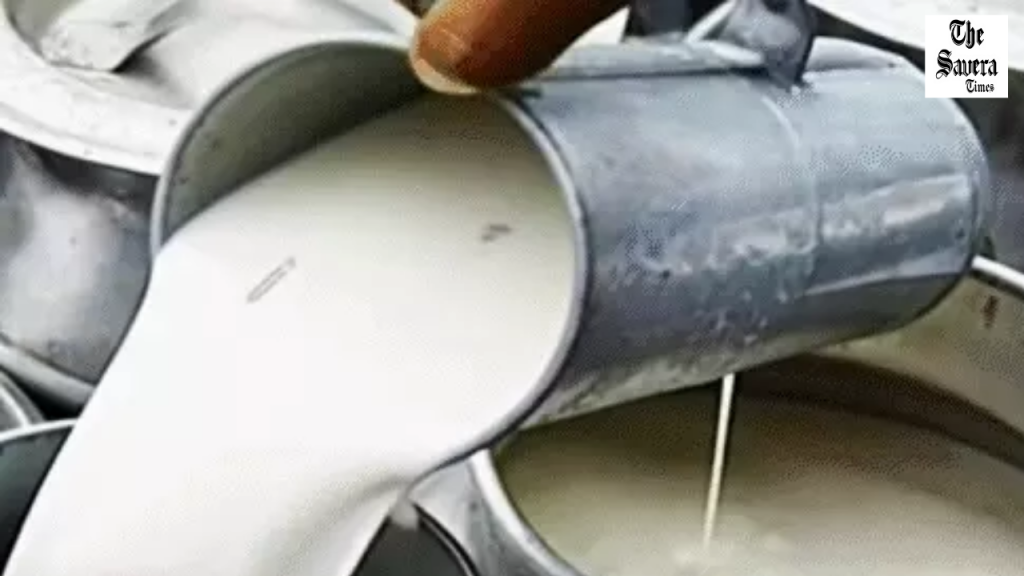 Punjab Verka Milk Price Hike: Procurement Rates Increased