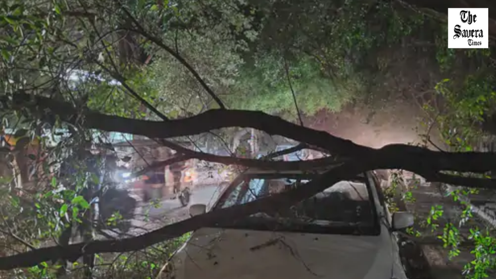 UP Rain Alert: Storm Damages, Crops Submerged