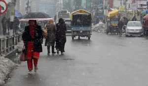 Srinagar Weather: Rain in plains, snowfall in mountains; Helpline numbers issued