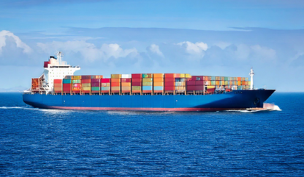 Experts examine WTO verdict on cross-border subsidies, flag policy challenges