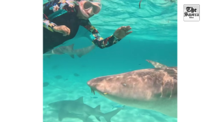 Hina Khan swims with sharks in the Maldivian sea