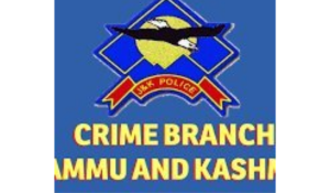 J&K crime branch files charge sheet in fake service book, forged order case