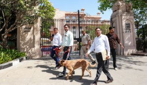 Another bomb threat triggers panic at Rajasthan Assembly, massive security sweep launched