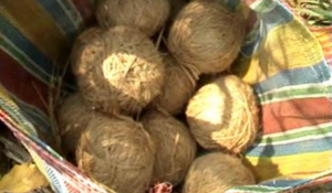 Crude Bomb Recovery in Bhangar Puts Bengal’s Illegal Units Under Scanner