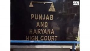 Hisar Man Gets Bail in Rape Case After 29 Months in Jail