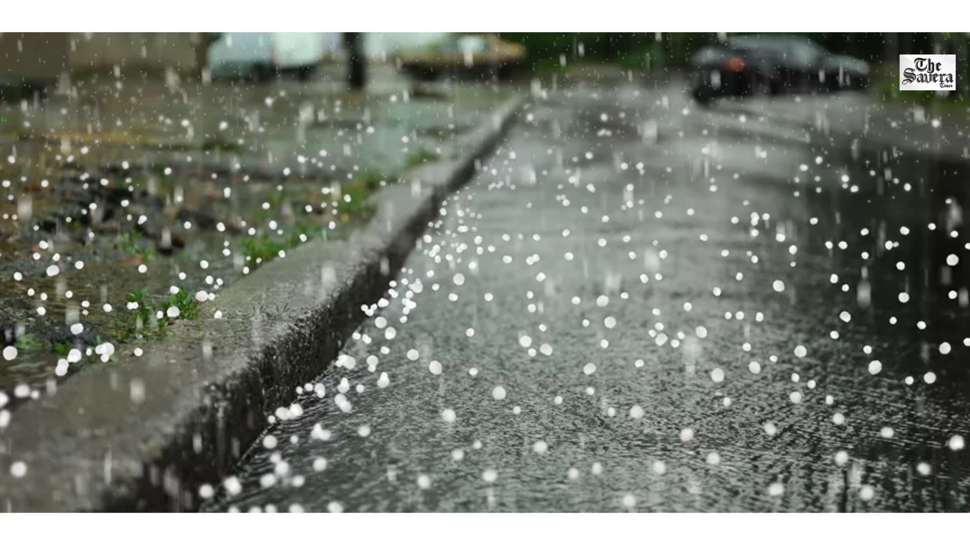 Haryana Hailstorm Alert: Winds Up to 50 km/h Today