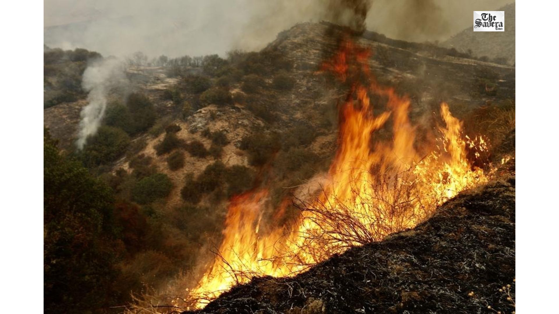 Japan’s Wildfire Rages On, Burns Nearly 1,200 Hectares