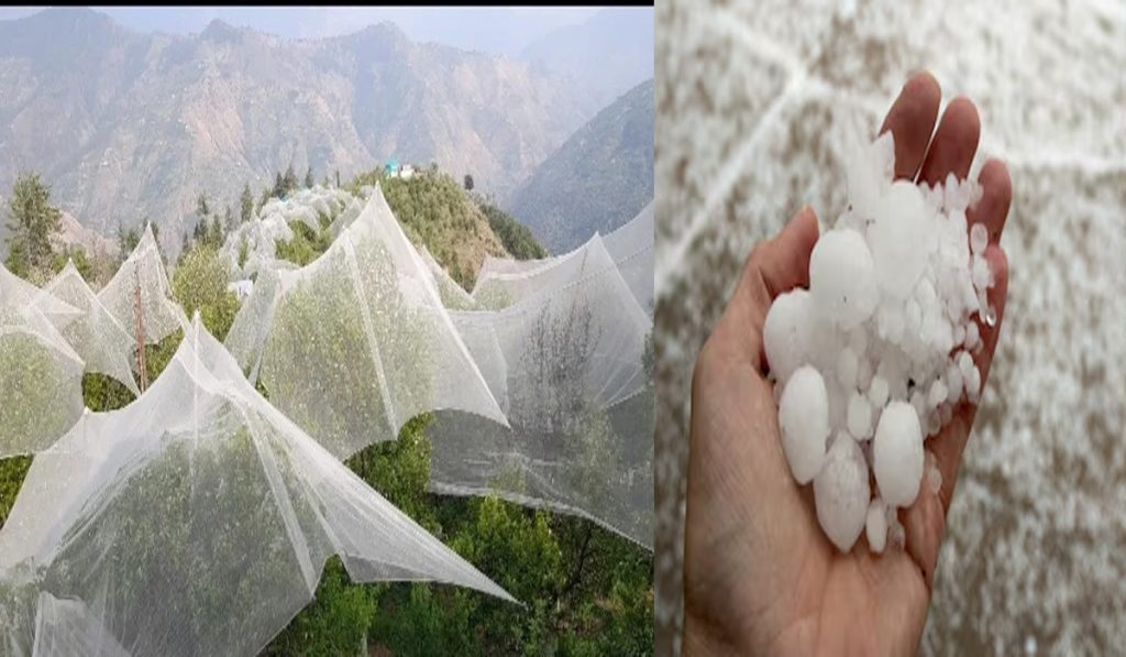 himachal hailstorm rainfall
