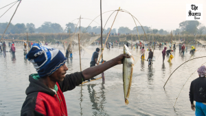 Cold-water Fisheries Contribute 3% of Inland Fish Production