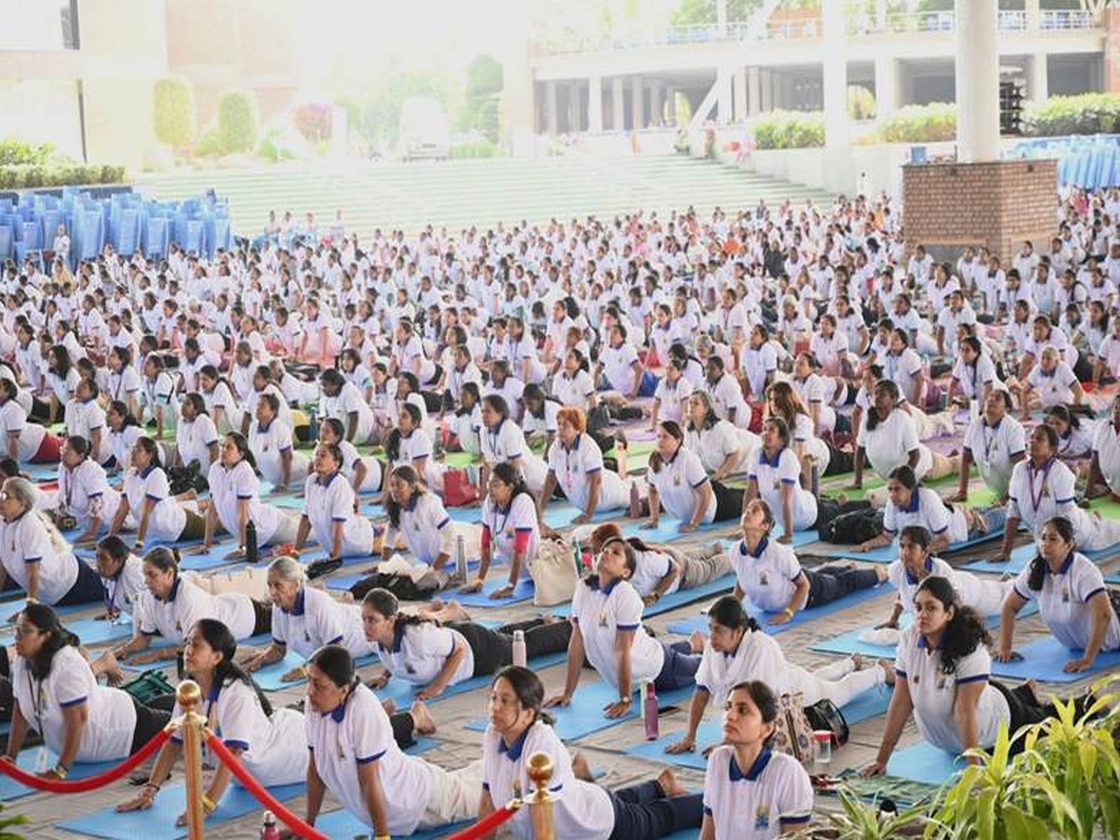 6,000+ perform Bhujangasana, set Asia record as Yoga Mahotsav marks 50-Day countdown to IDY 2026