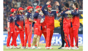 Dinesh Karthik Says Quick Wickets Cost Royal Challengers Bengaluru the Match