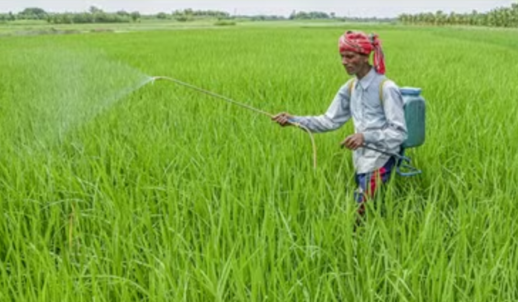 What Ails Crop Productivity Gains