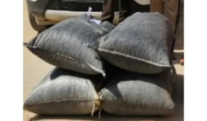 32.5 kg of poppy husk recovered from a house in the border area, one accused arrested