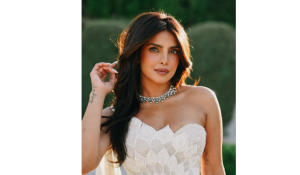 Priyanka Chopra shares celebrations of pre-Independence Day fireworks in the US