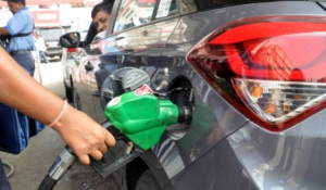 E20 petrol may reduce mileage in some older vehicles, no evidence of engine damage: Govt
