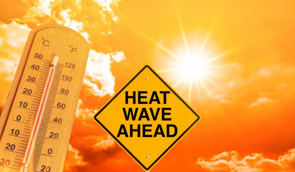 Heatwave condition and Policy Responses