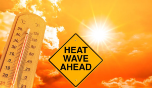 Extreme Heat in Haryana: Meteorological Department Issues Orange Alert; Rohtak Hottest