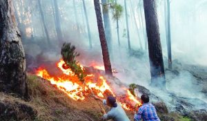 Rajouri forest fires rage across multiple locations, firefighting operations underway