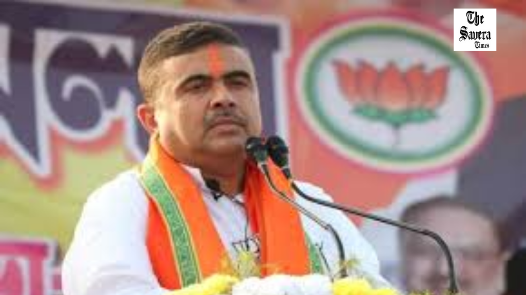 No Place for Violence in Politics