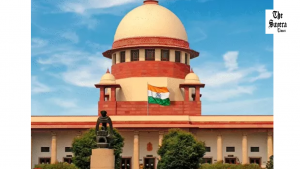 Punjab CM’s stray dog remarks reach Supreme Court; Court says it won’t modify order, directs plea to High Court