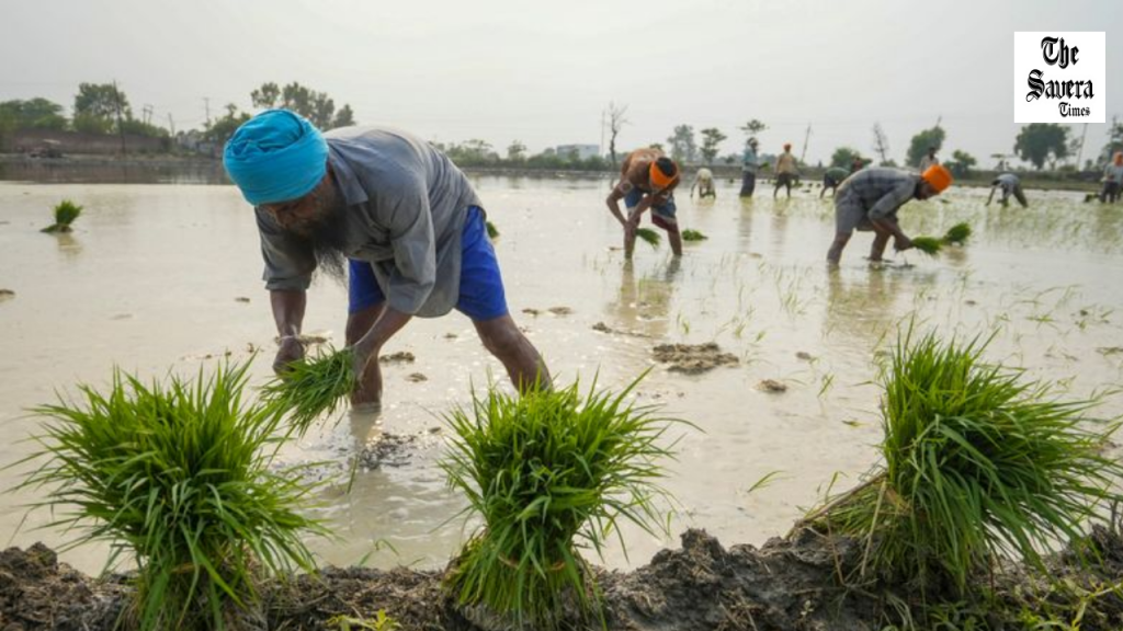 Punjab Launches 'Farm Stay Policy-2026'