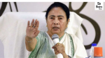 TMC Tells Supreme Court Deleted Voters