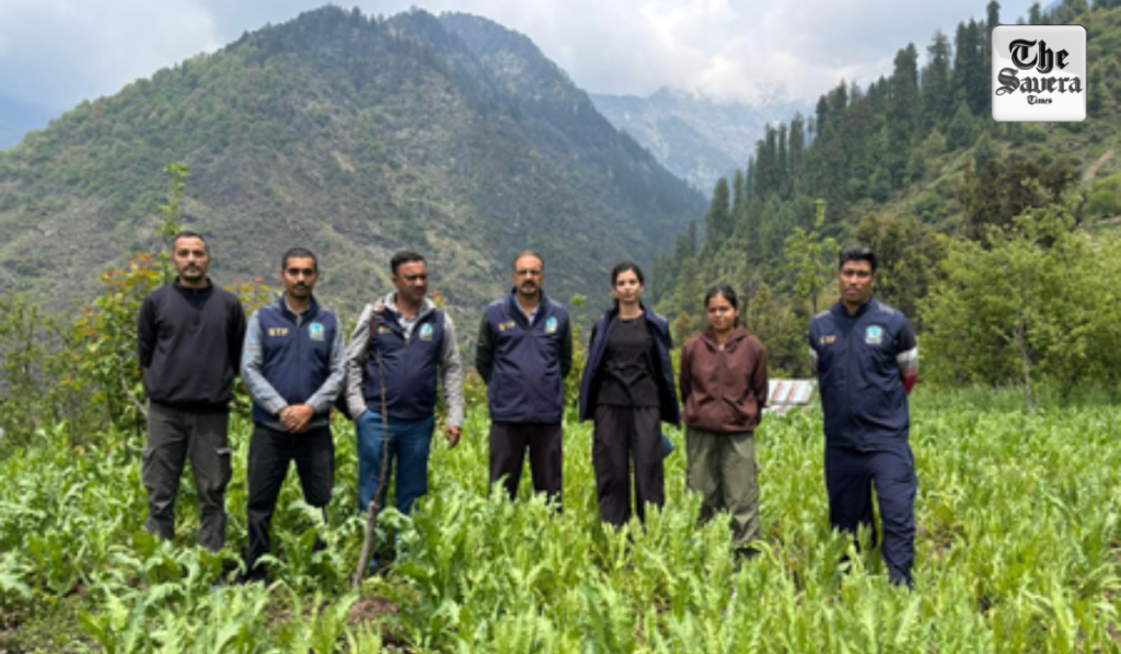 Himachal Police Intensifies Crackdown on Drug Traffickers, 19 Preventive Detentions Executed