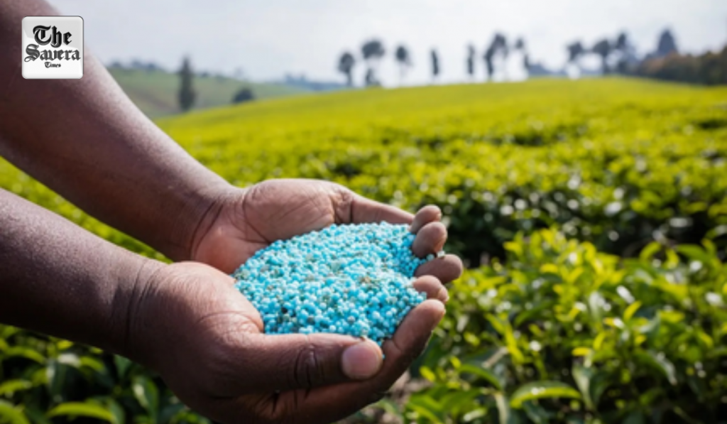 India agrees to supply fertiliser as Nepal faces shortage