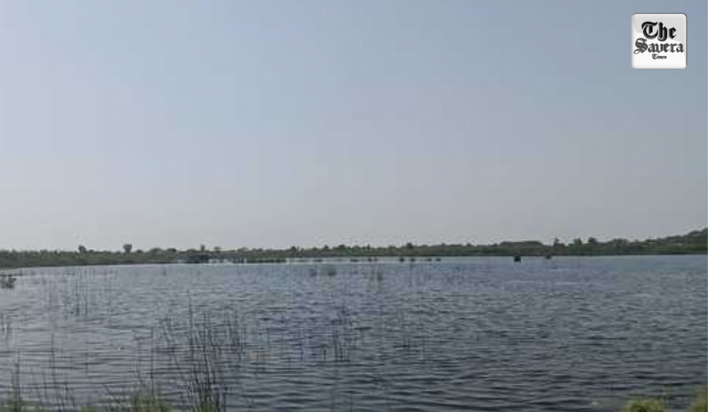 Canal Water Leakage Floods Farmlands in Fatehabad, Farmers Allege Official Negligence