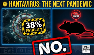 Is hantavirus spreading across the world? Could it lead to Covid-like pandemic?