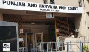 High Court Stays Kharar Municipal Council Elections Over Ward Delimitation Dispute