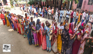 Himachal Civic Polls See 34% Turnout by 11 AM; Sujanpur Tops at 48%, NCC Cadets Assist Divyang Voters