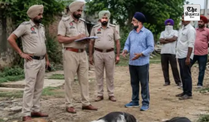 3 Stray Dogs Poisoned to Death in Ludhiana; Case Filed After Activist’s Complaint