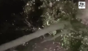 Speeding Tipper Crashes Into Tree in Jalandhar, Power Supply Disrupted
