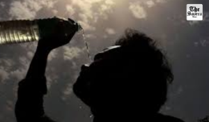 Haryana Reels Under Severe Heatwave as Water Coolers Remain Defunct in Public Places