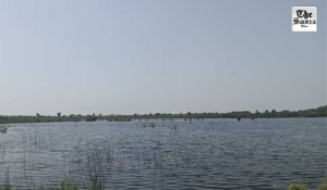 Canal Water Leakage Floods Farmlands in Fatehabad, Farmers Allege Official Negligence