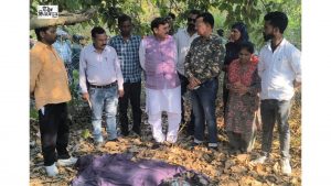 Nainital Elephant Attack: A Woman is Killed as Wild Elephant Charges at Three Women
