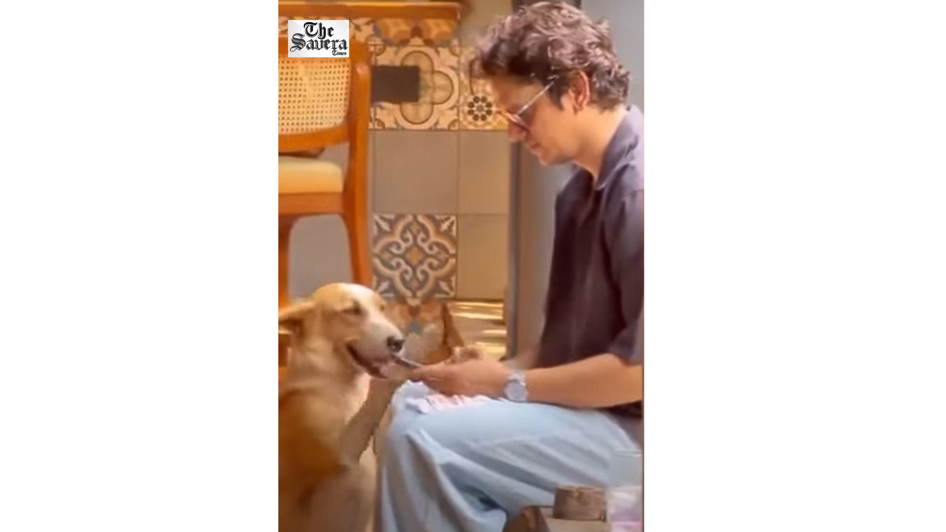 Vijay Varma Shares Hilarious Reaction After Disaster Alert Catches Him Off Guard