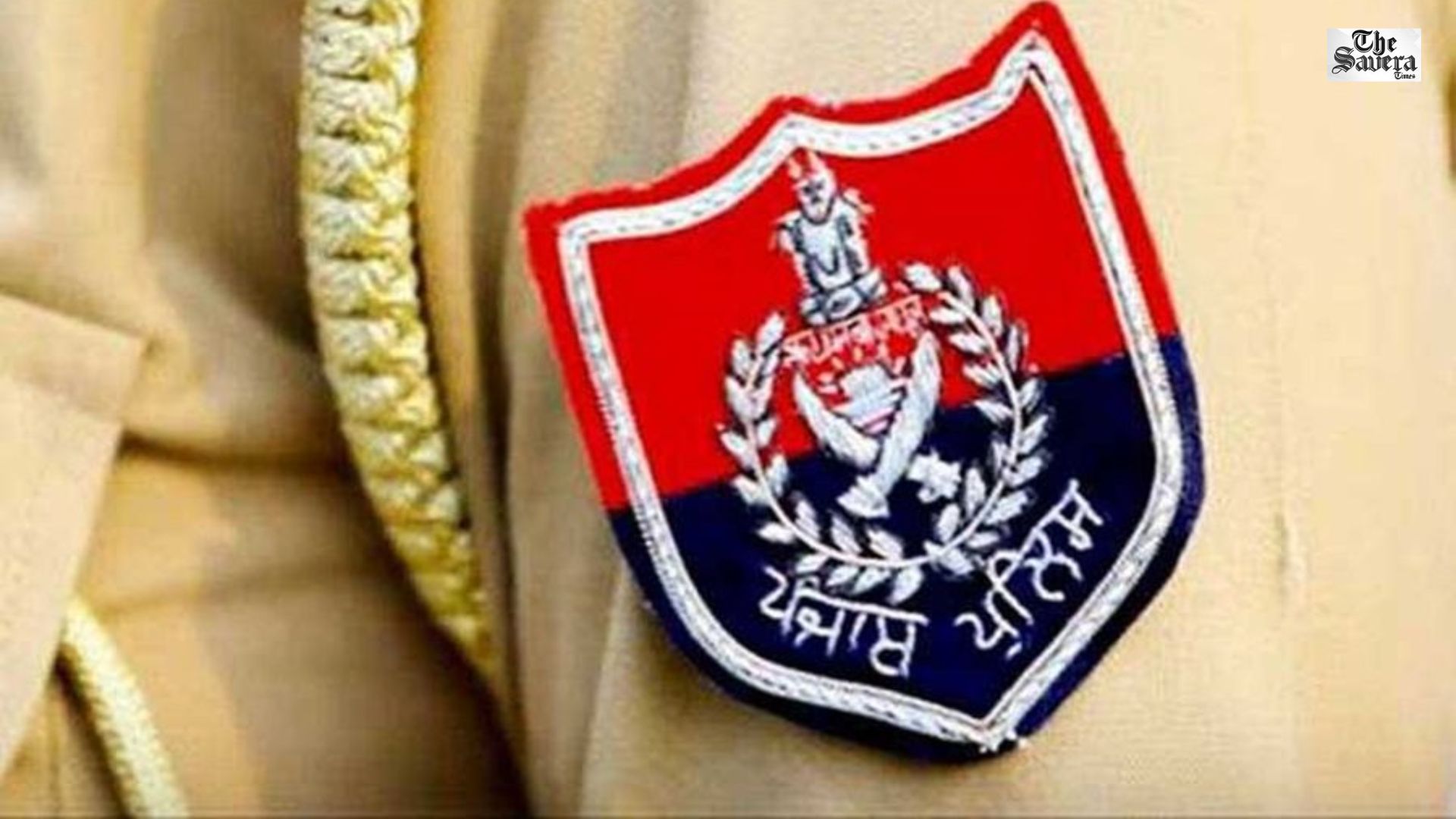 Punjab Police Crackdown: 255 Proclaimed Offender Cases Resolved in 11-Month Drive