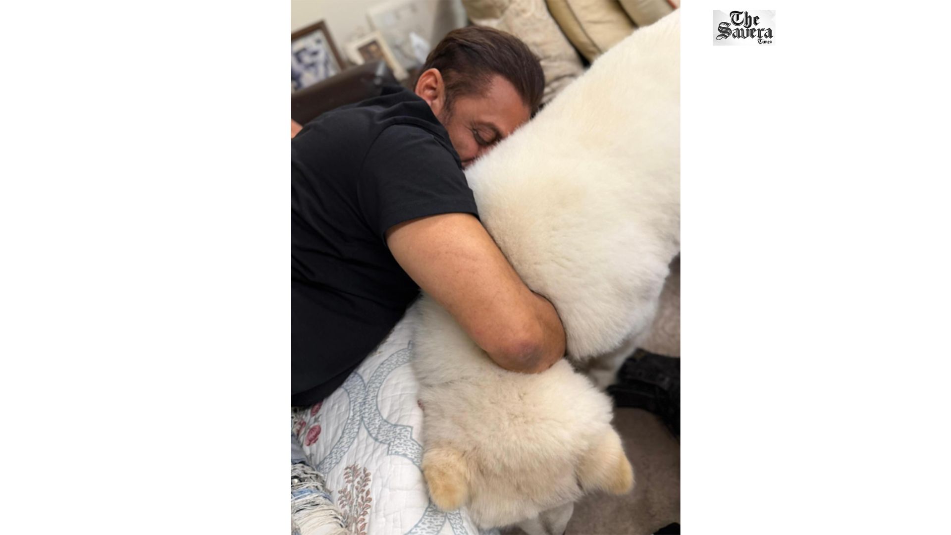 Salman Khan’s ‘Sukh Moment’ With Furry Friend Wins Hearts Online