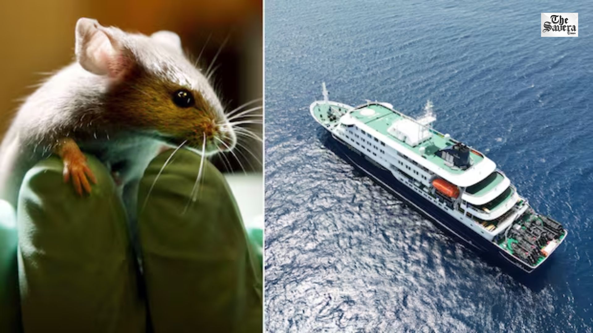 Global Health Alert After Hantavirus Outbreak on Cruise Ship; Passengers Isolated Across Countries