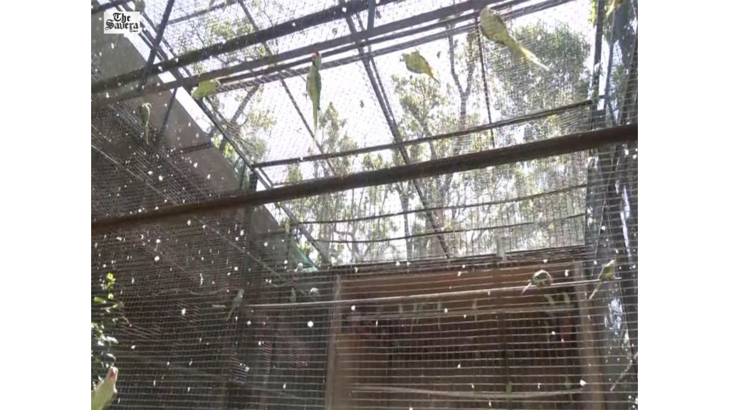 Dehradun Zoo Introduces Special Heatwave Measures to Protect Animals
