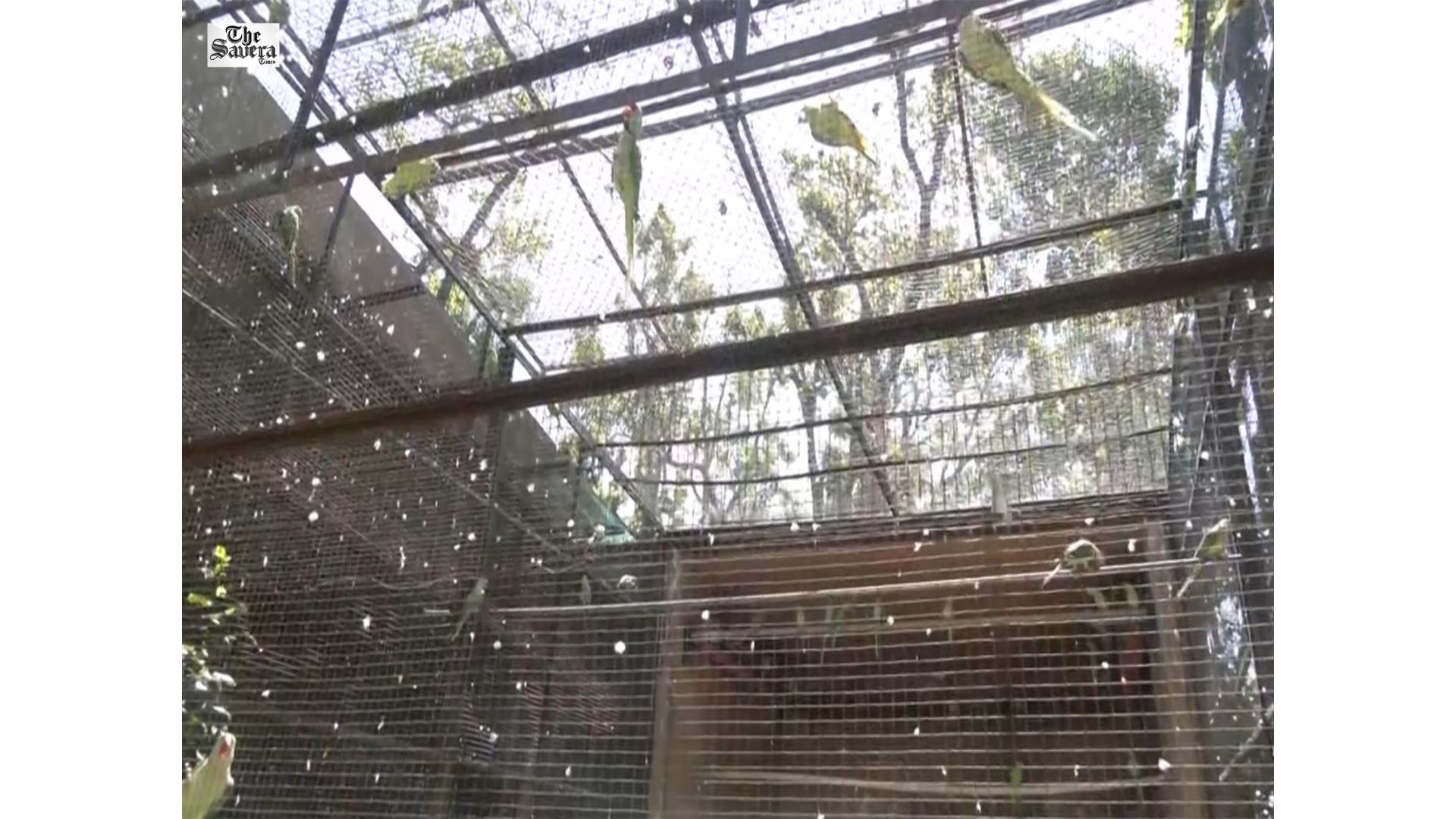 Dehradun Zoo Steps Up Heatwave Protection Measures for Animals Amid Rising Temperatures
