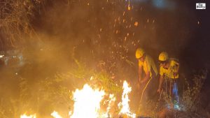 Forest Fire Near Basugaon in Uttarakhand Brought Under Control by Joint SDRF-NDRF Operation