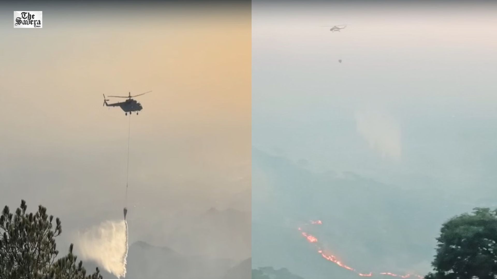 Massive Fire Breaks Out in Kasauli Forest; Army, Air Force Launch Aerial Water Dumping Operation