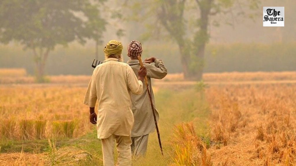 Punjab Farms Under Chemical Siege
