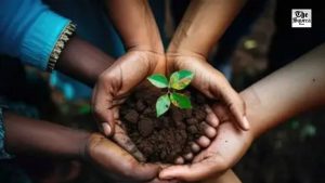 Beyond Chemicals: The Organic Transition