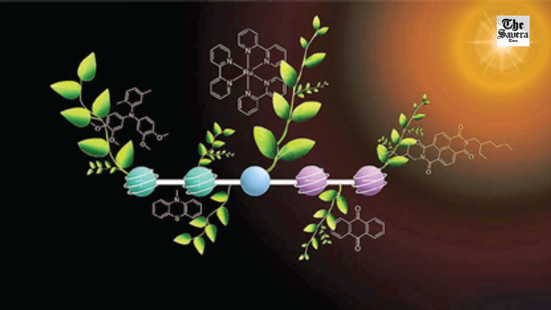 How to Turn Sunlight into Fuel?